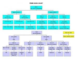 How to Identify Fabrics with a Burn Test