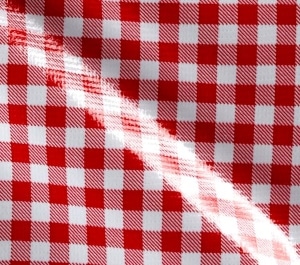 Oilcloth Gingham Red