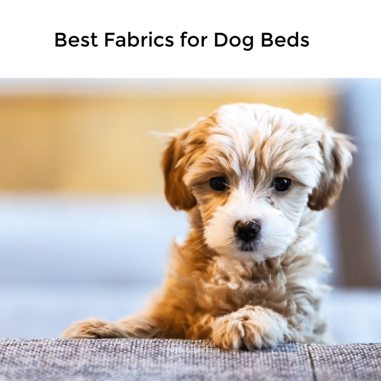 best fabrics for dog beds